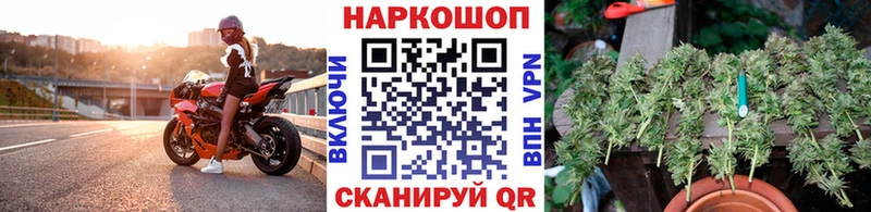 Канабис Канаш
