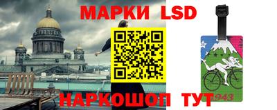 тгк Бийск