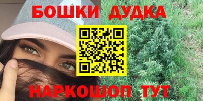 тгк Бийск