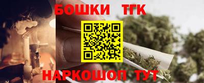 тгк Бийск