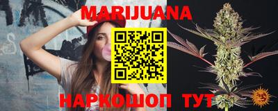 тгк Бийск
