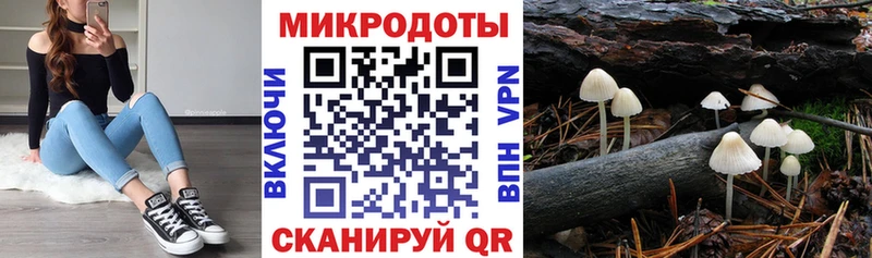 Псилоцибиновые грибы Psilocybine cubensis  shop официальный сайт  Канаш 