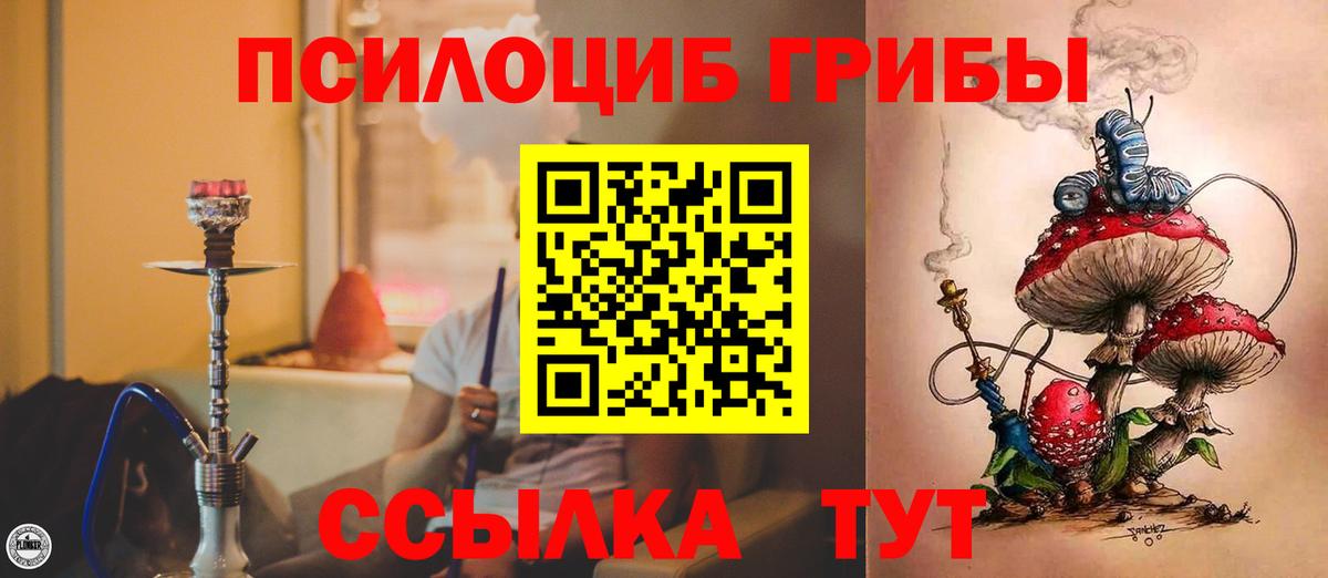 Канаш  Галлюциногенные грибы прущие грибы  Галлюциногенные грибы Psilocybe  Вход с VPN 